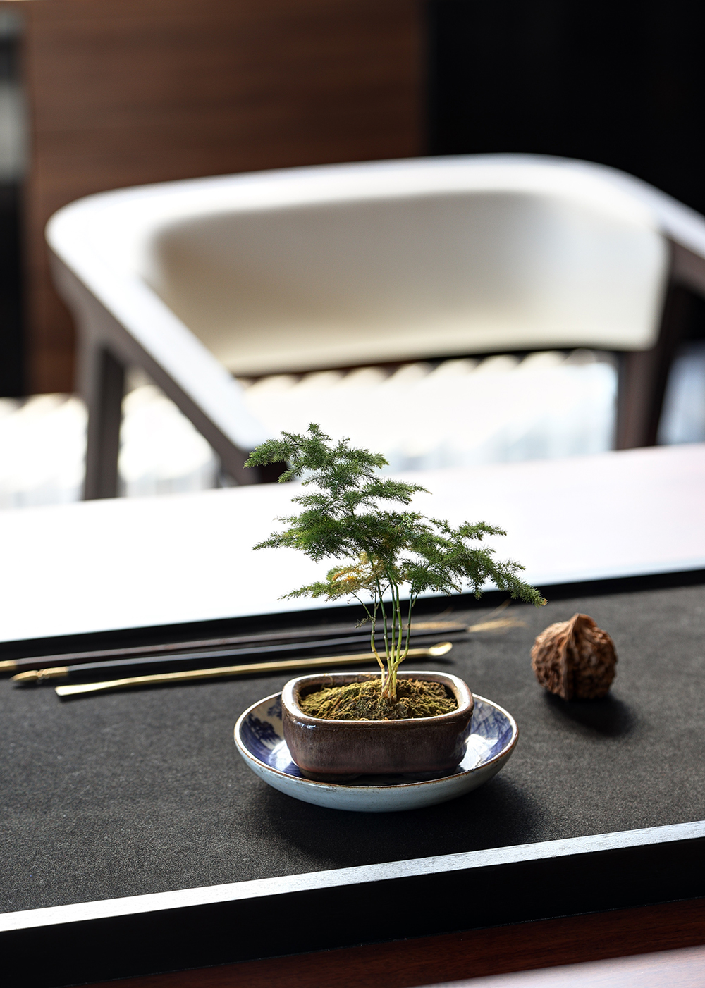 1604564165551467.jpg 新闻稿配图15.jpg